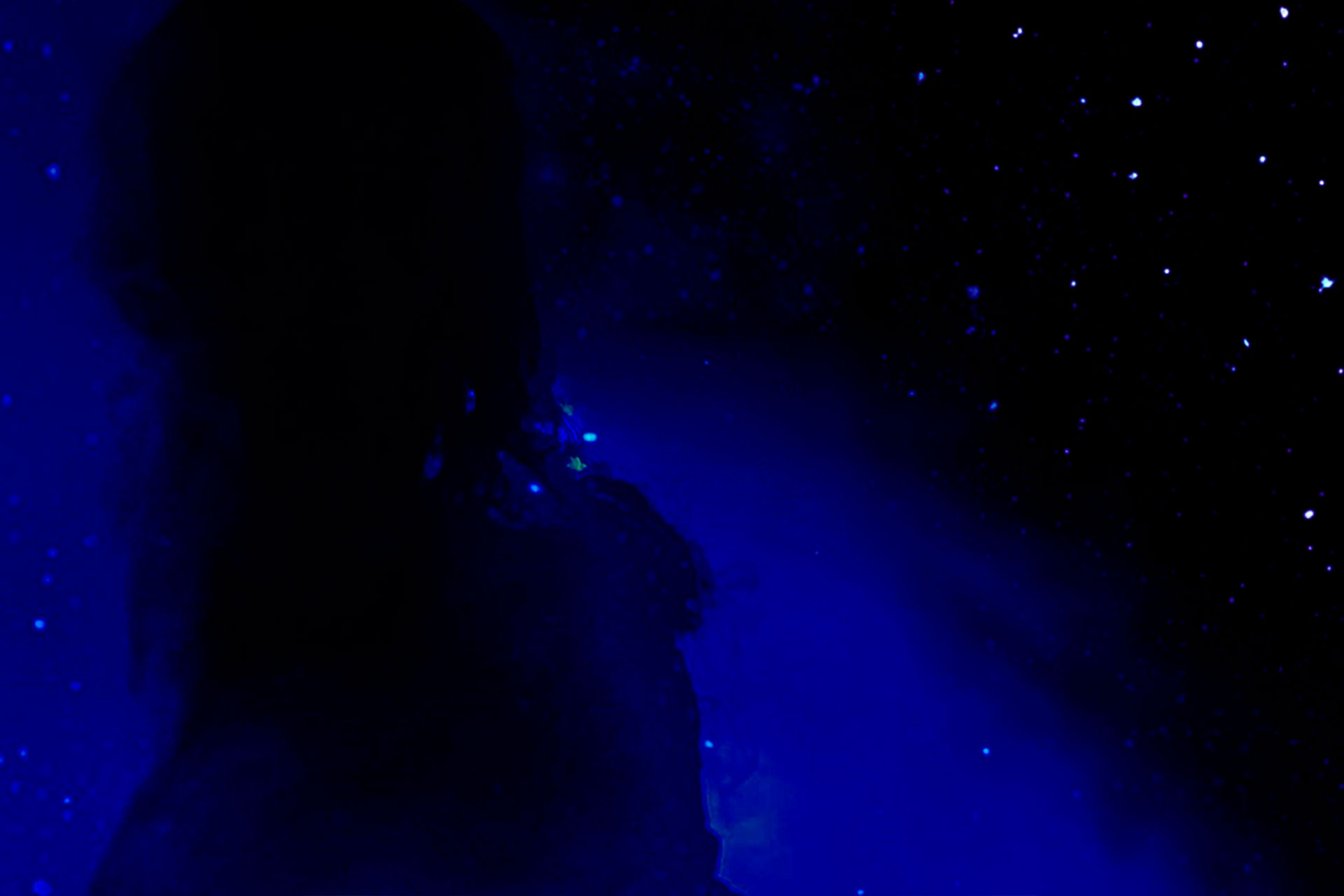 Siur Indigo